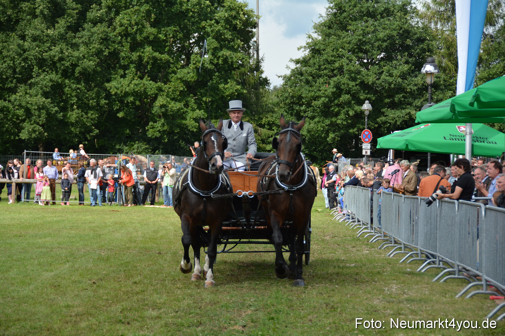 Pferdeschau JURA Volksfest 180814 0342
