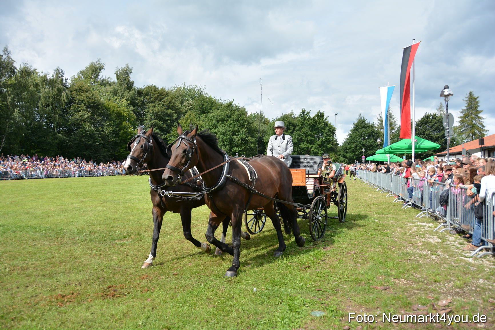 Pferdeschau JURA Volksfest 180814 0343