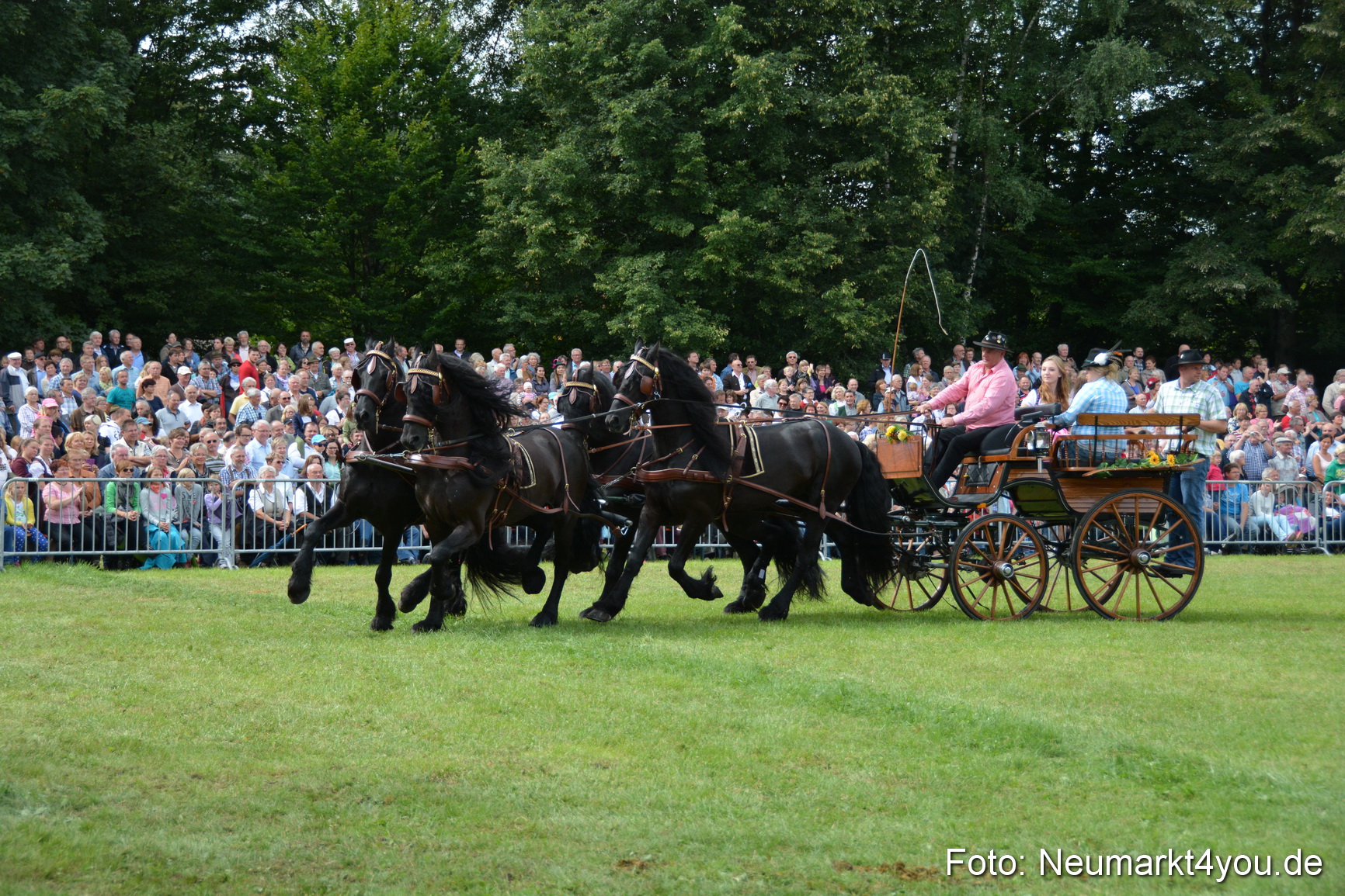 Pferdeschau JURA Volksfest 180814 0344