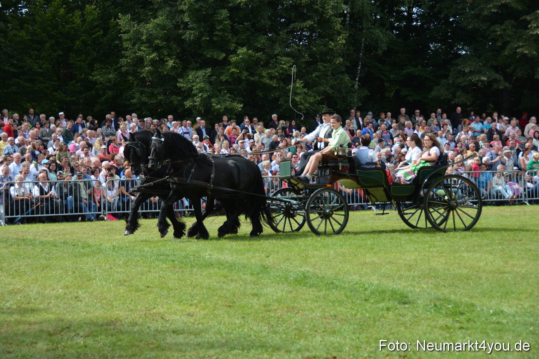 Pferdeschau JURA Volksfest 180814 0345