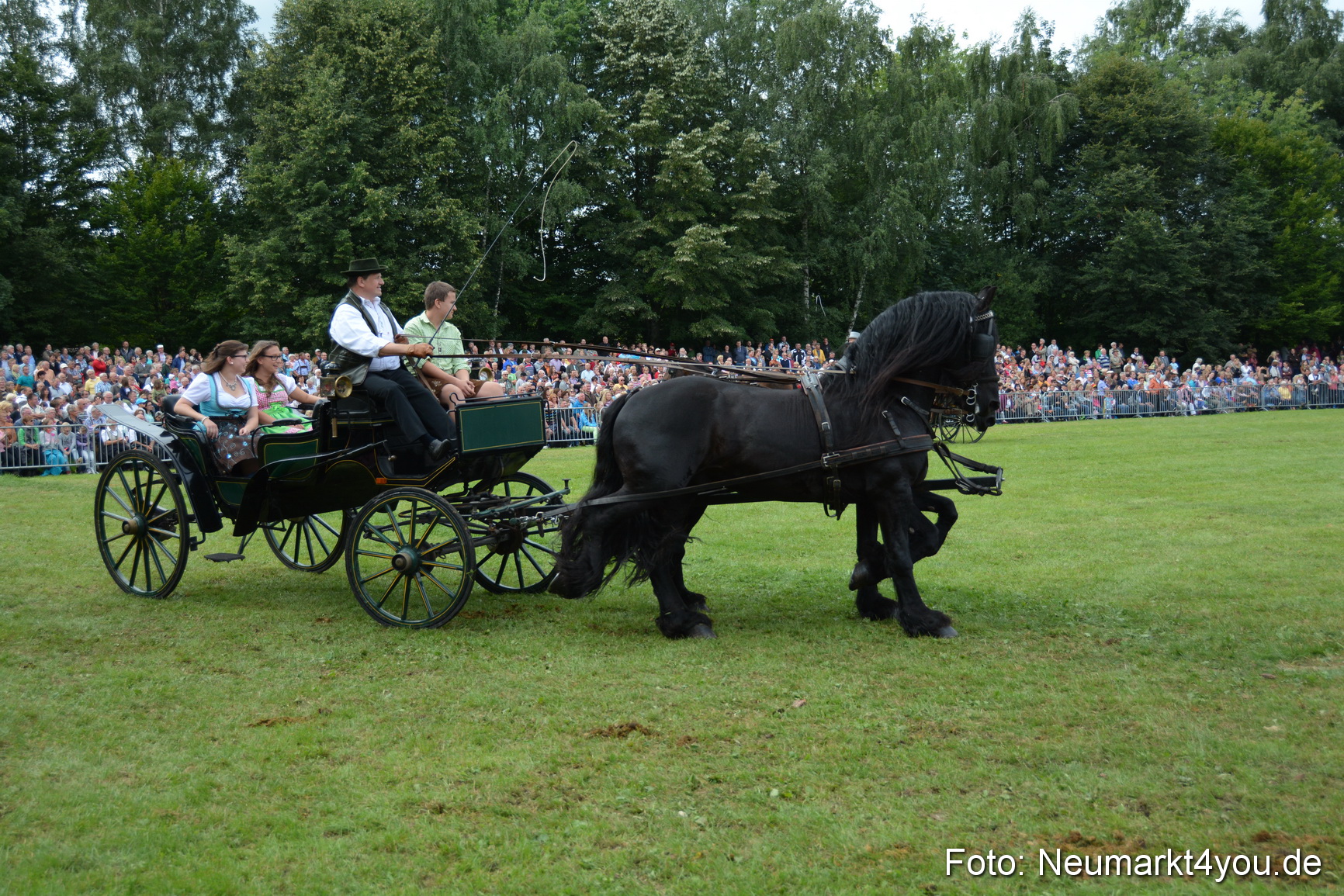 Pferdeschau JURA Volksfest 180814 0346