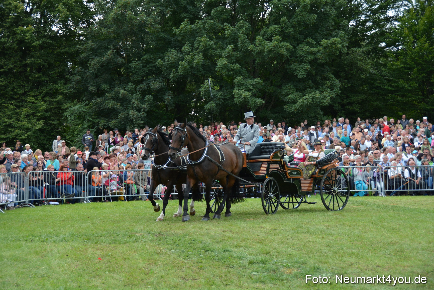 Pferdeschau JURA Volksfest 180814 0347