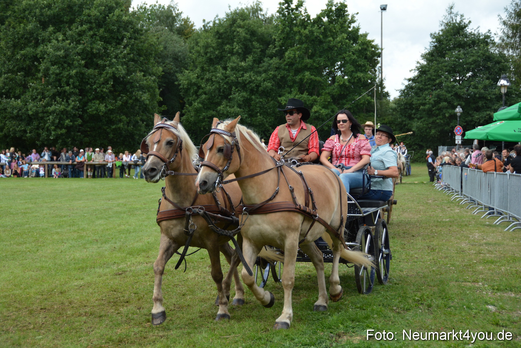 Pferdeschau JURA Volksfest 180814 0350