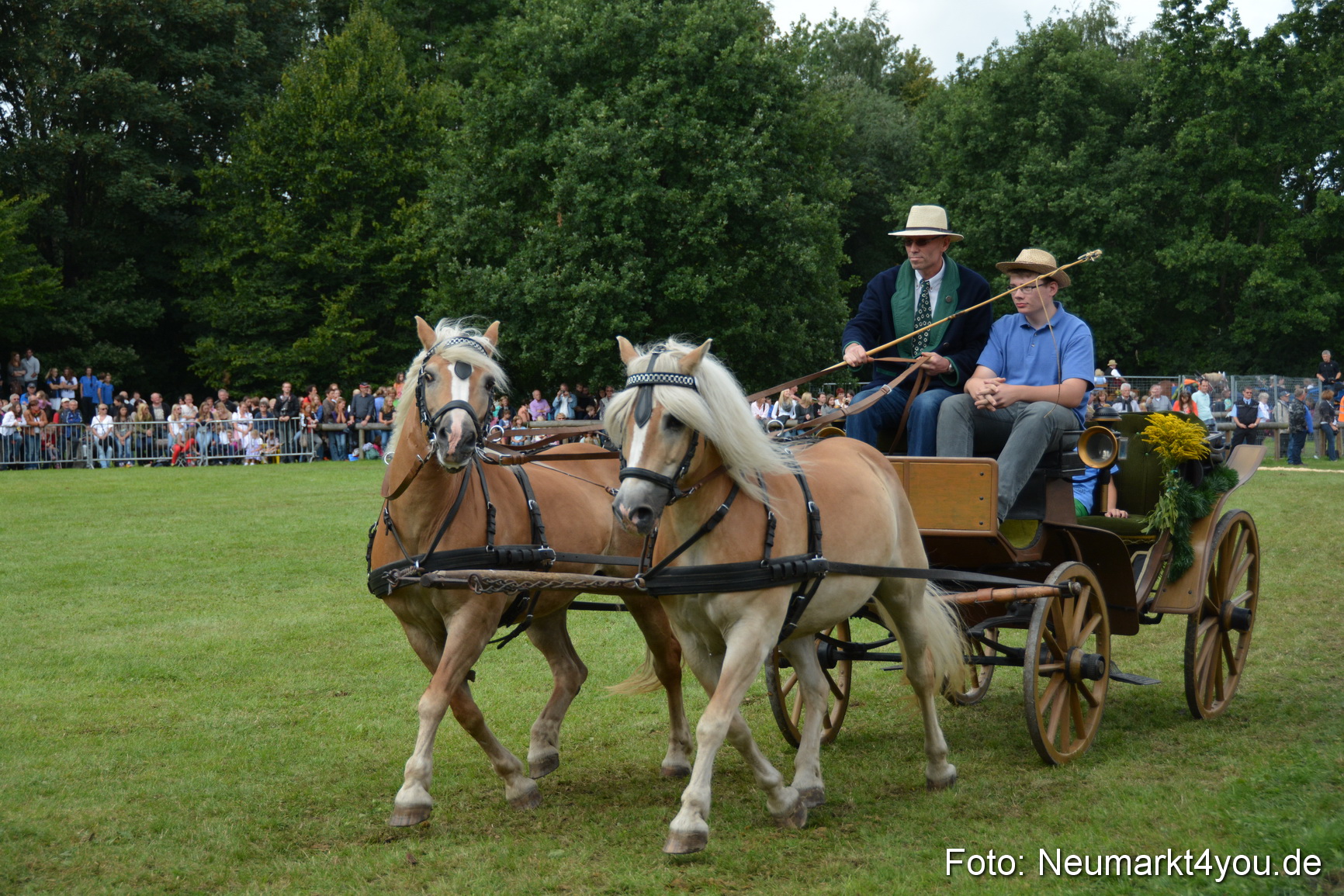 Pferdeschau JURA Volksfest 180814 0351