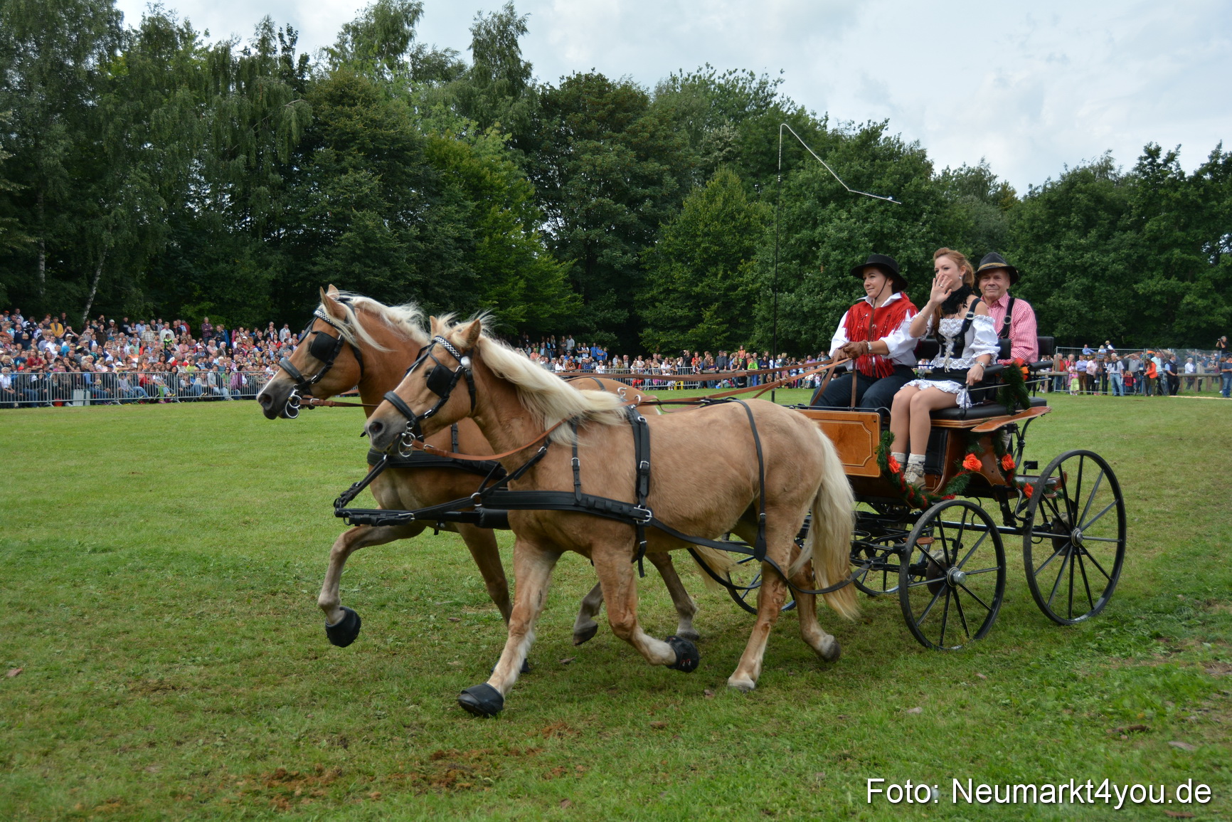 Pferdeschau JURA Volksfest 180814 0353