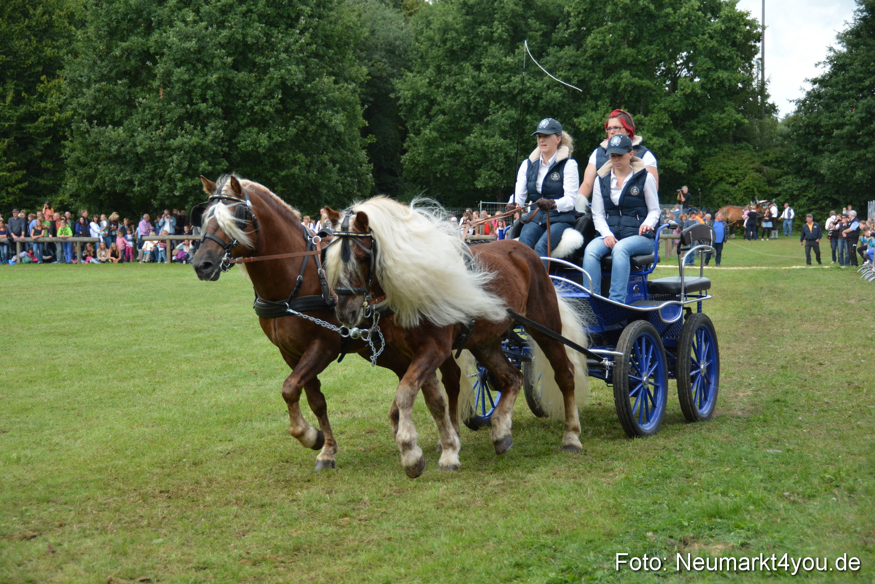 Pferdeschau JURA Volksfest 180814 0354