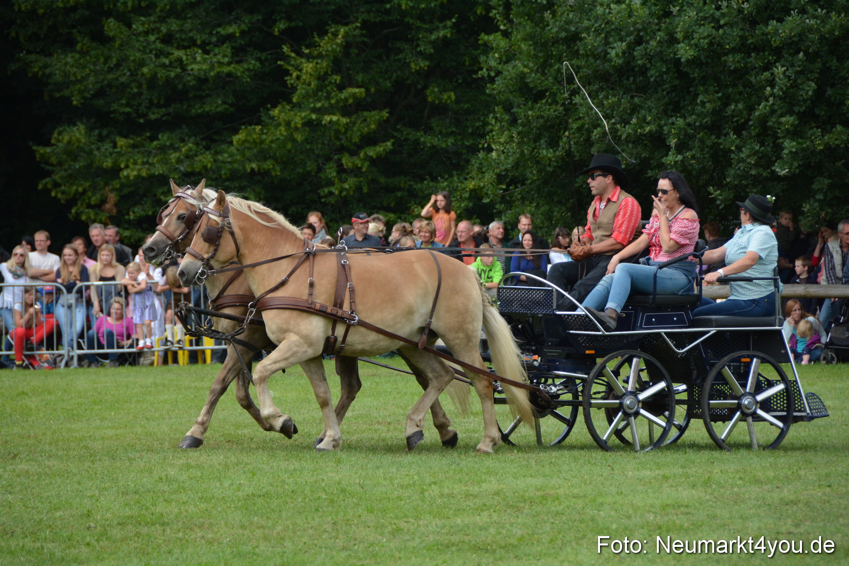 Pferdeschau JURA Volksfest 180814 0355