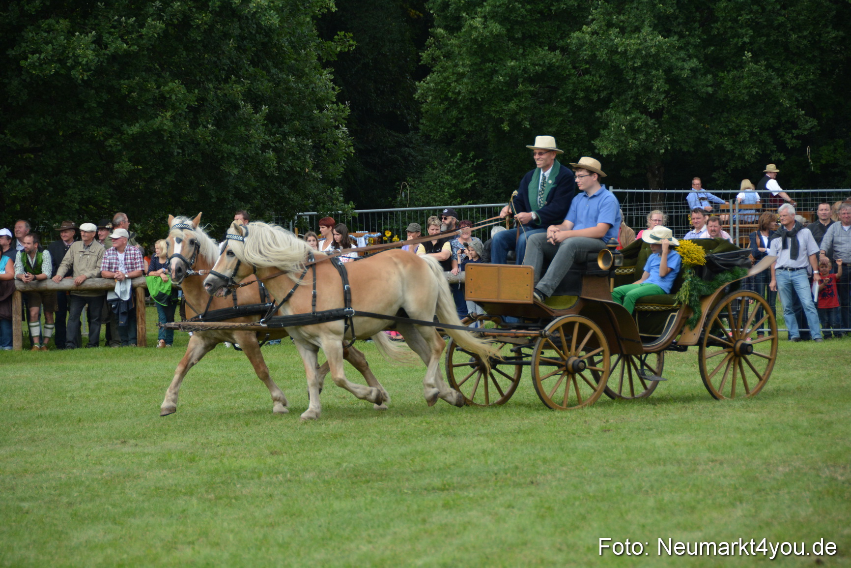 Pferdeschau JURA Volksfest 180814 0356