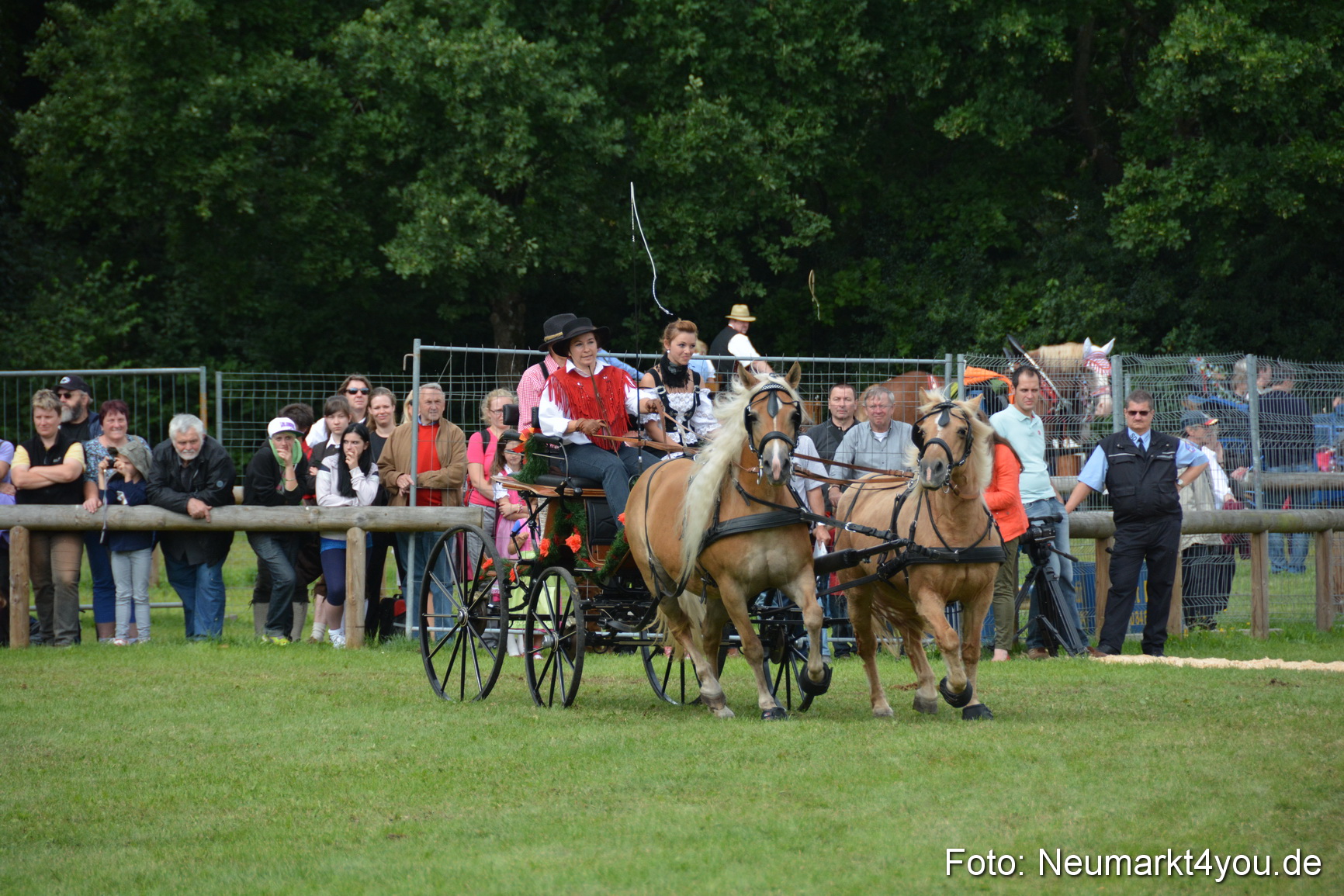 Pferdeschau JURA Volksfest 180814 0357