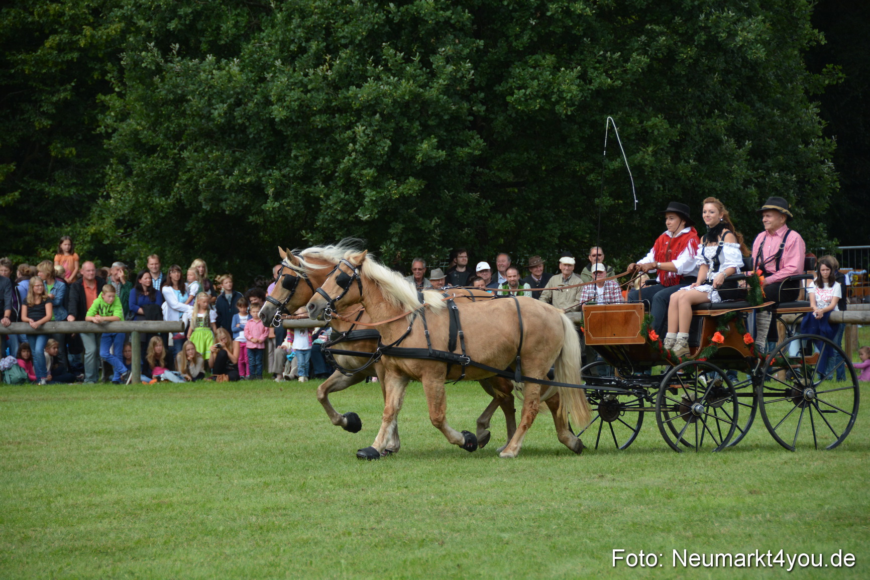 Pferdeschau JURA Volksfest 180814 0358