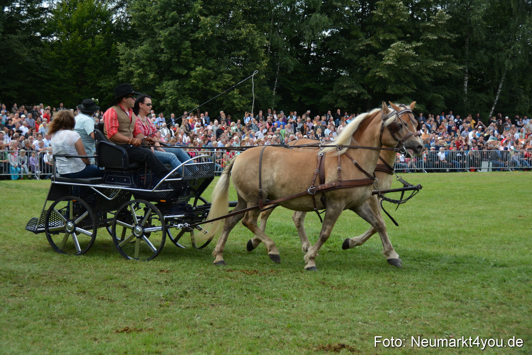 Pferdeschau JURA Volksfest 180814 0359