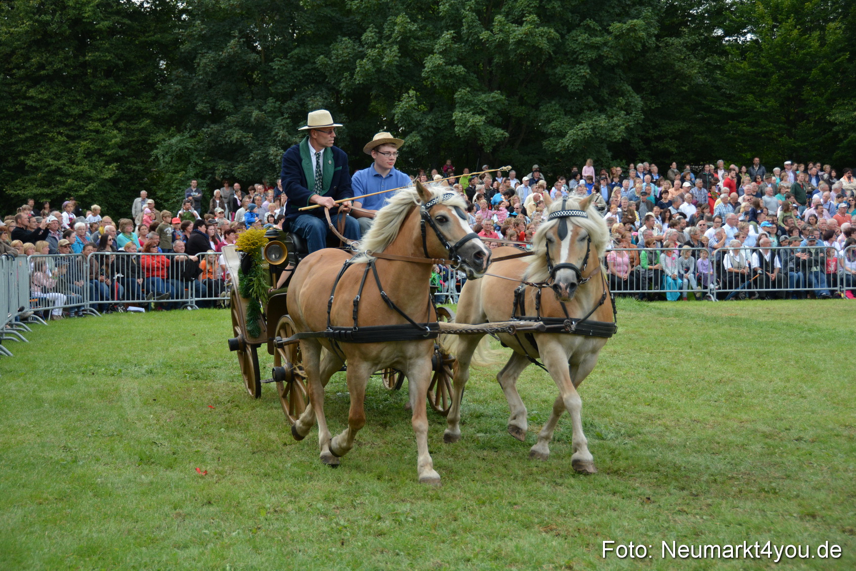 Pferdeschau JURA Volksfest 180814 0360