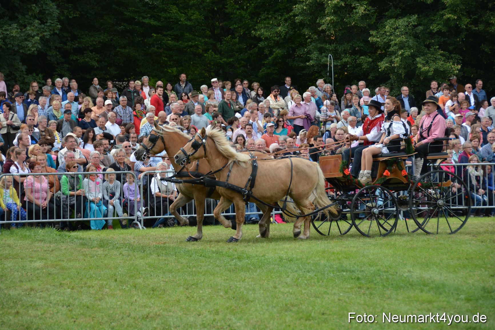 Pferdeschau JURA Volksfest 180814 0361
