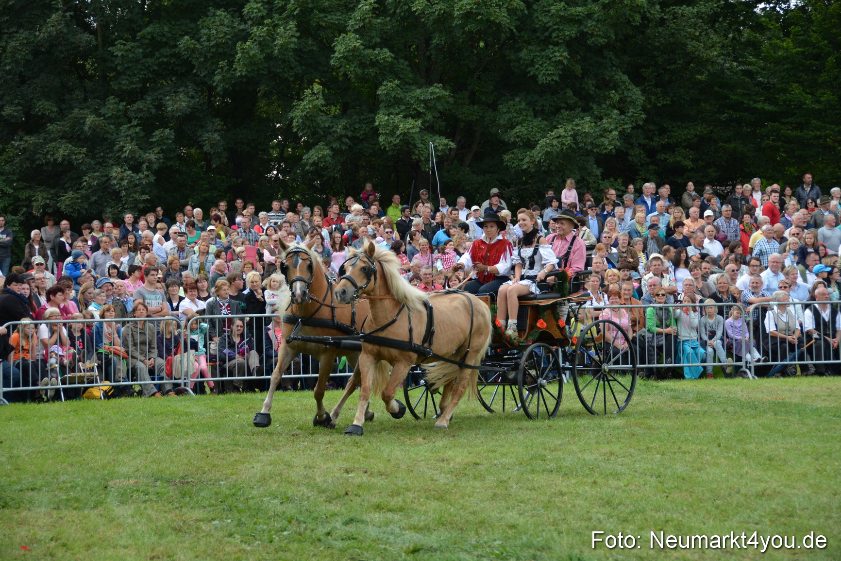 Pferdeschau JURA Volksfest 180814 0362