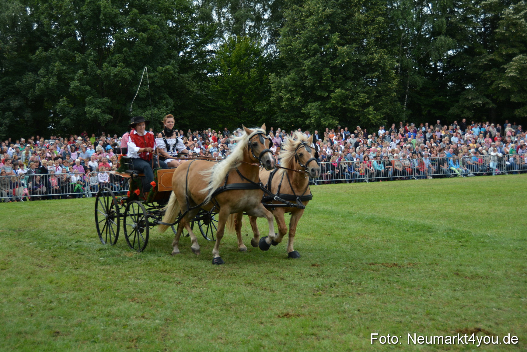 Pferdeschau JURA Volksfest 180814 0363