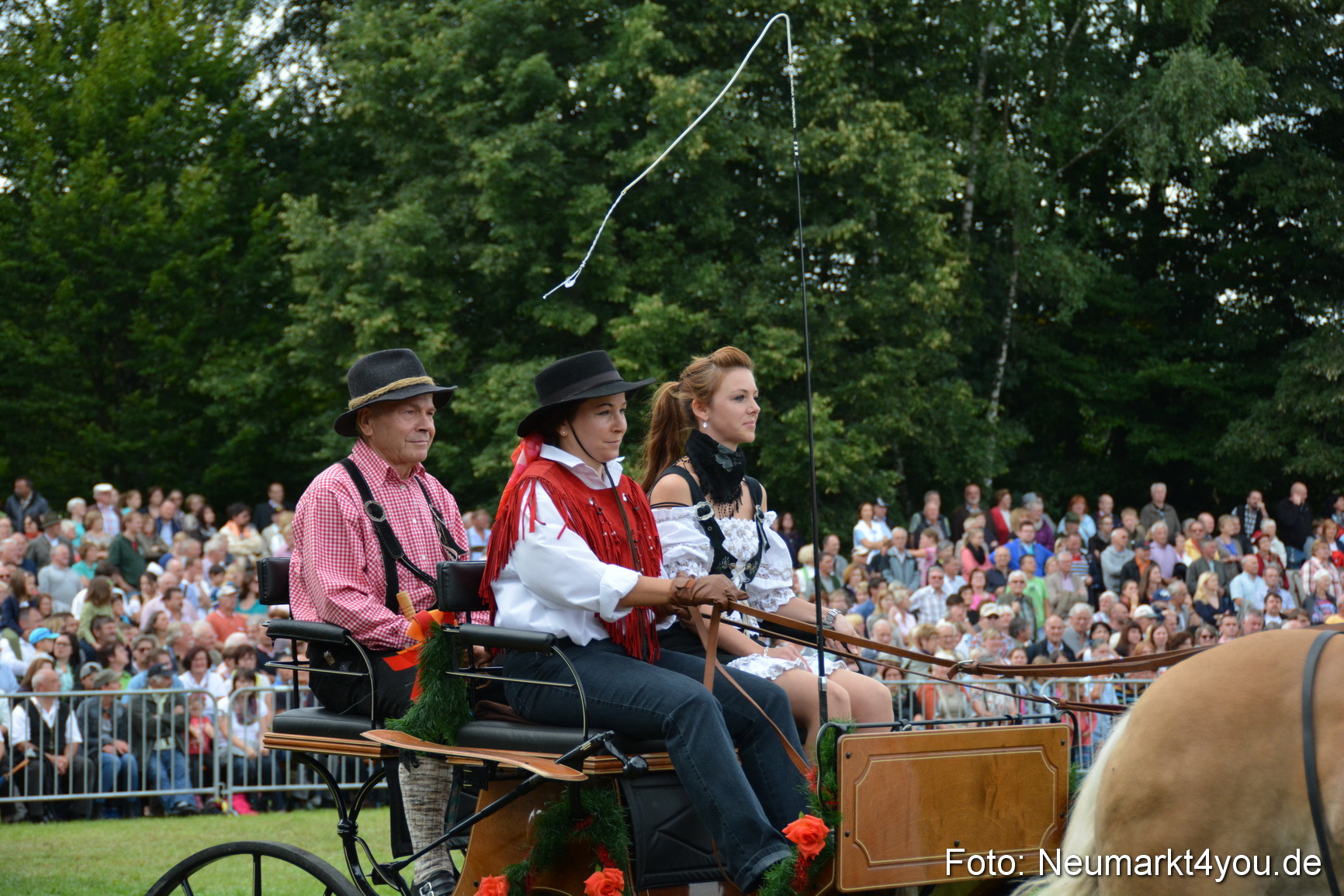 Pferdeschau JURA Volksfest 180814 0364