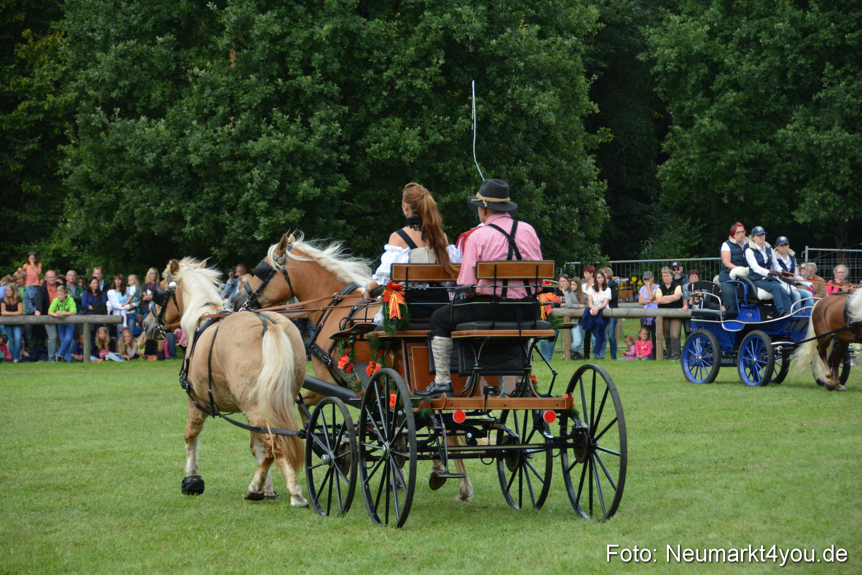 Pferdeschau JURA Volksfest 180814 0365