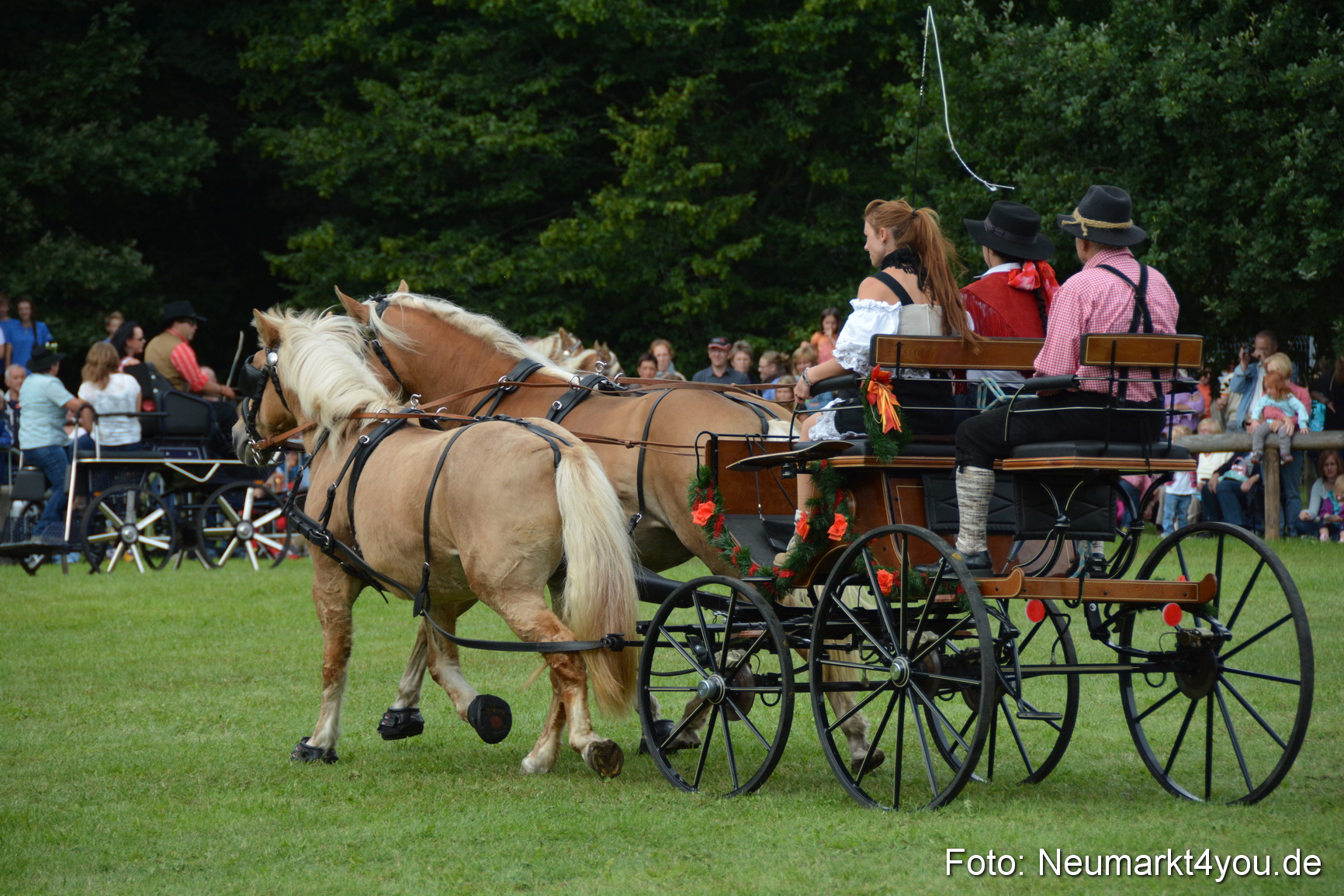 Pferdeschau JURA Volksfest 180814 0366