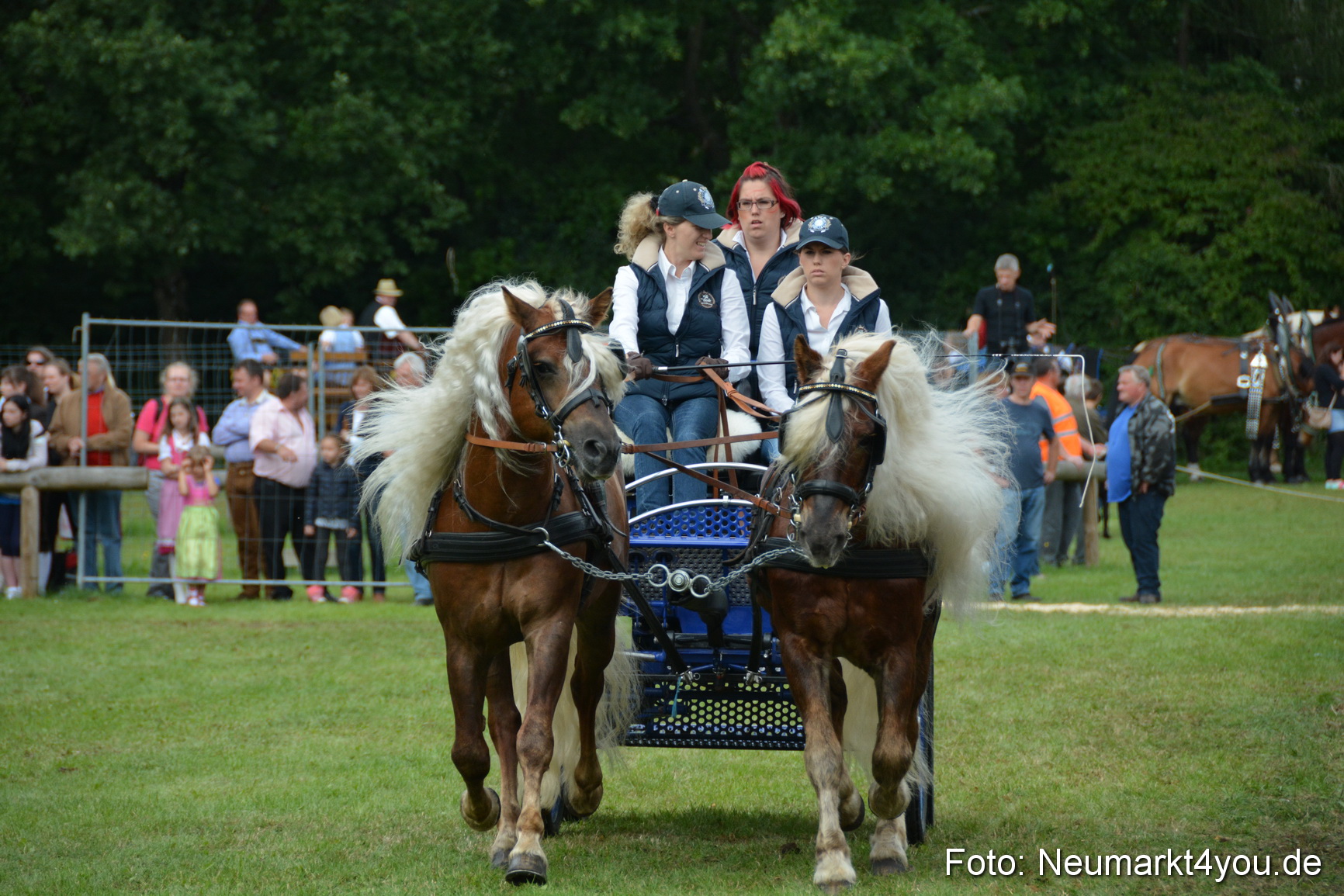 Pferdeschau JURA Volksfest 180814 0367