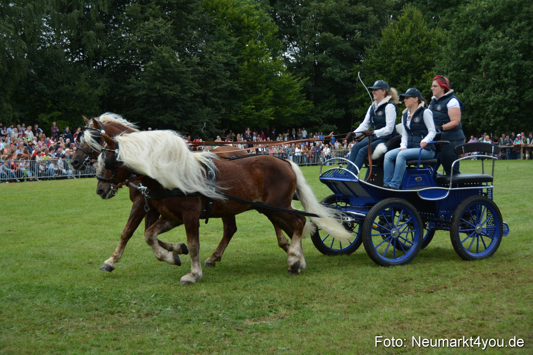 Pferdeschau JURA Volksfest 180814 0368