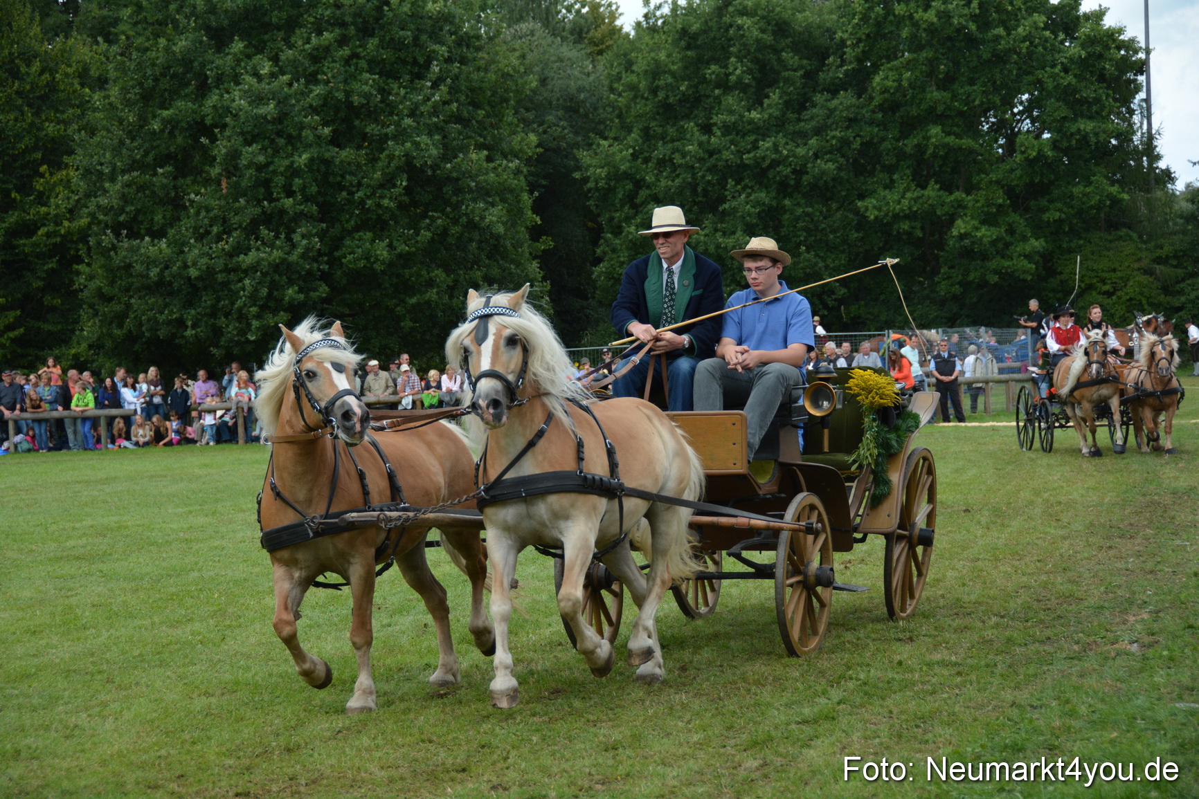 Pferdeschau JURA Volksfest 180814 0371