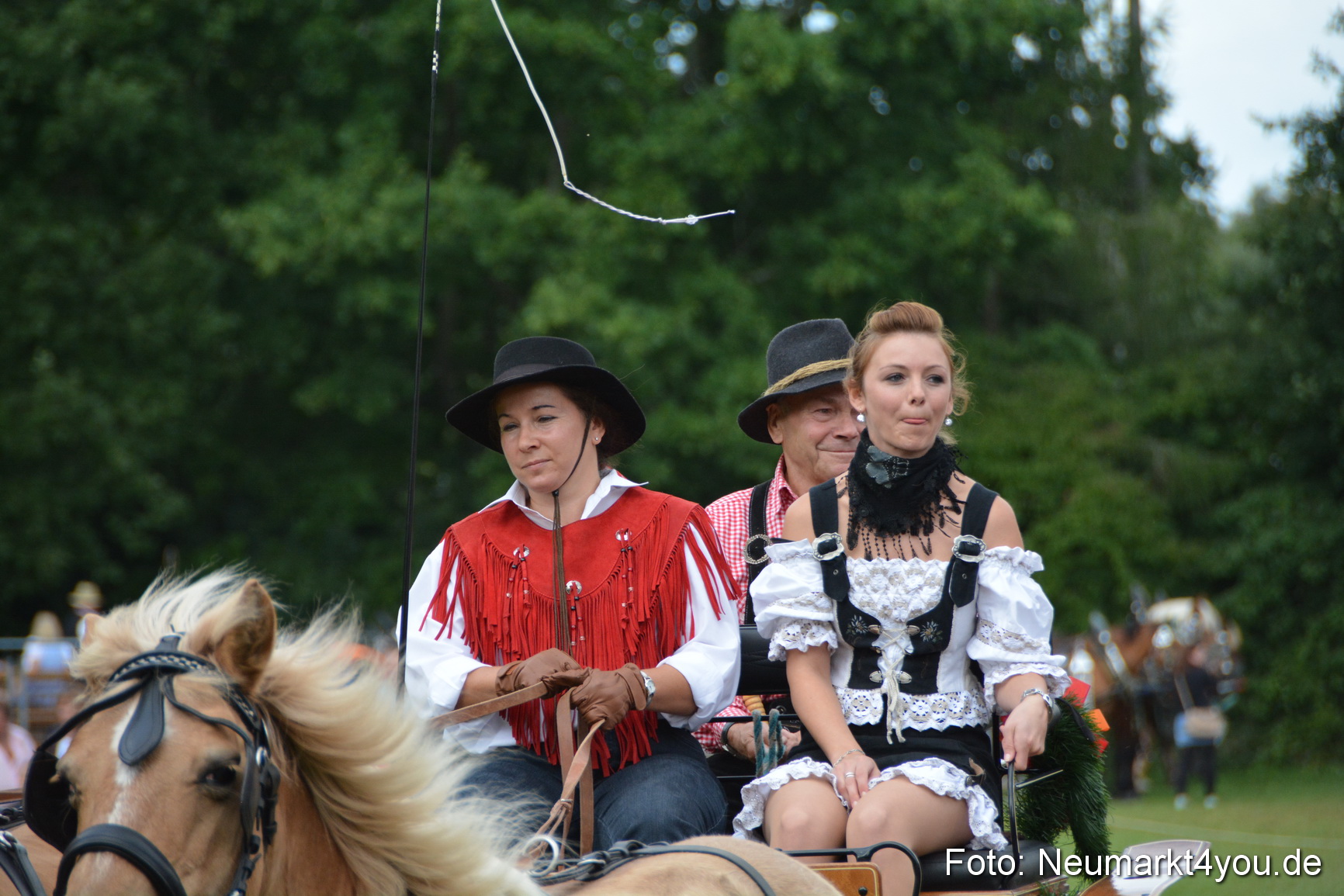 Pferdeschau JURA Volksfest 180814 0374