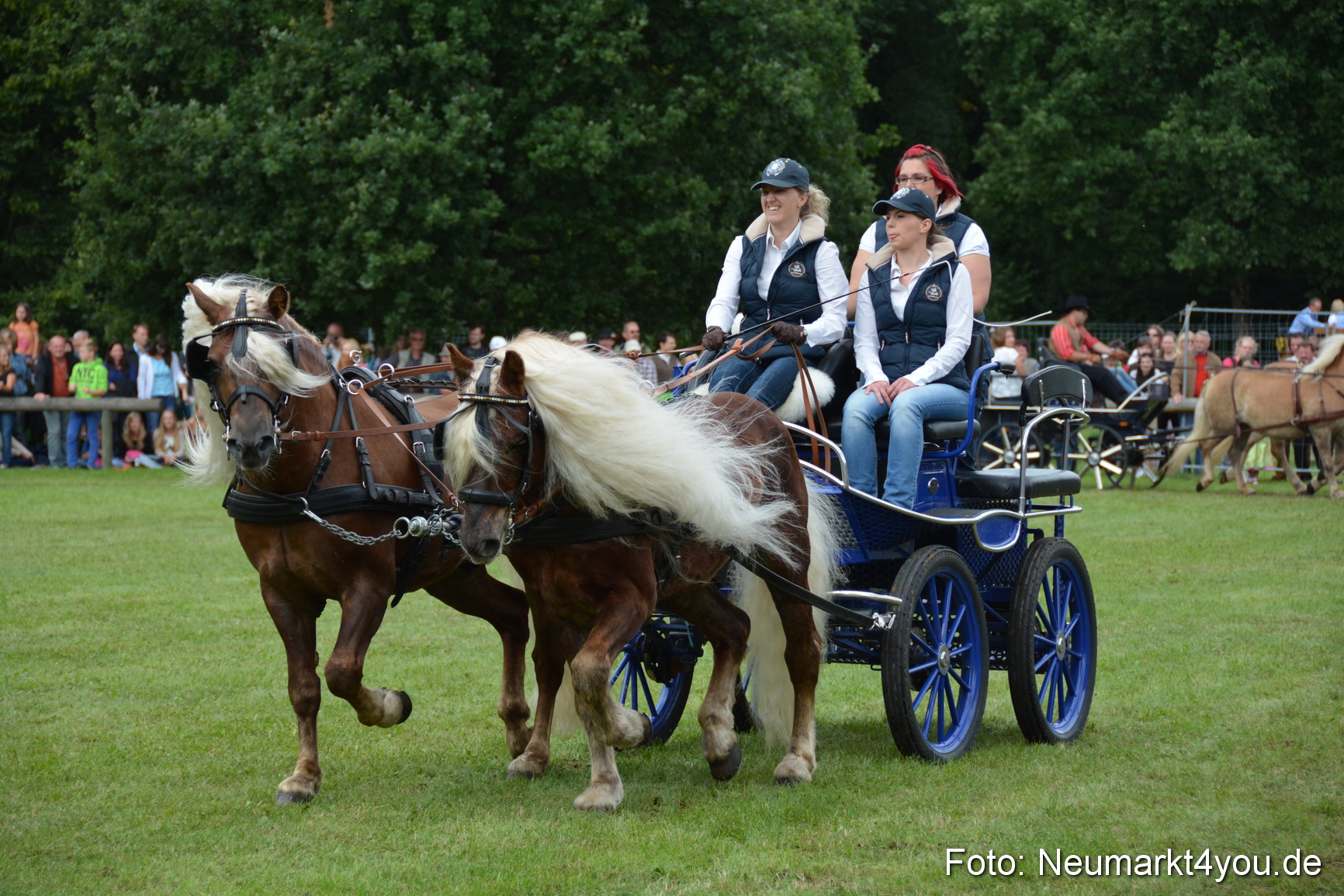Pferdeschau JURA Volksfest 180814 0376