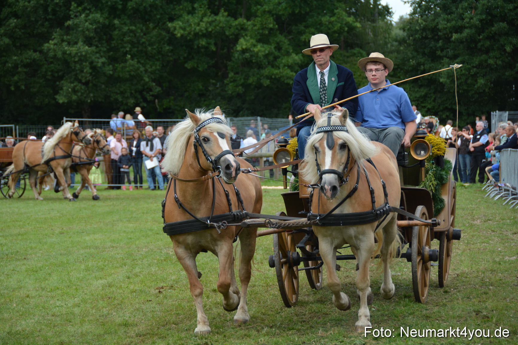 Pferdeschau JURA Volksfest 180814 0377