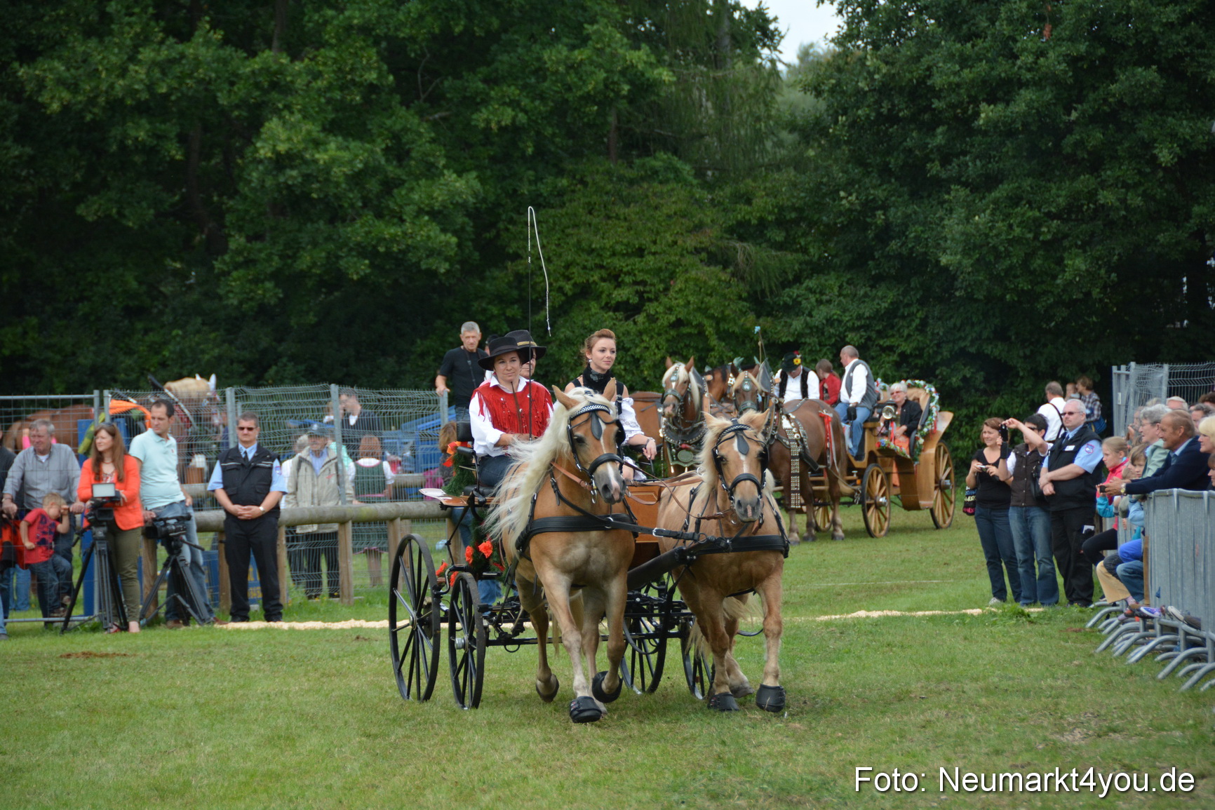 Pferdeschau JURA Volksfest 180814 0378