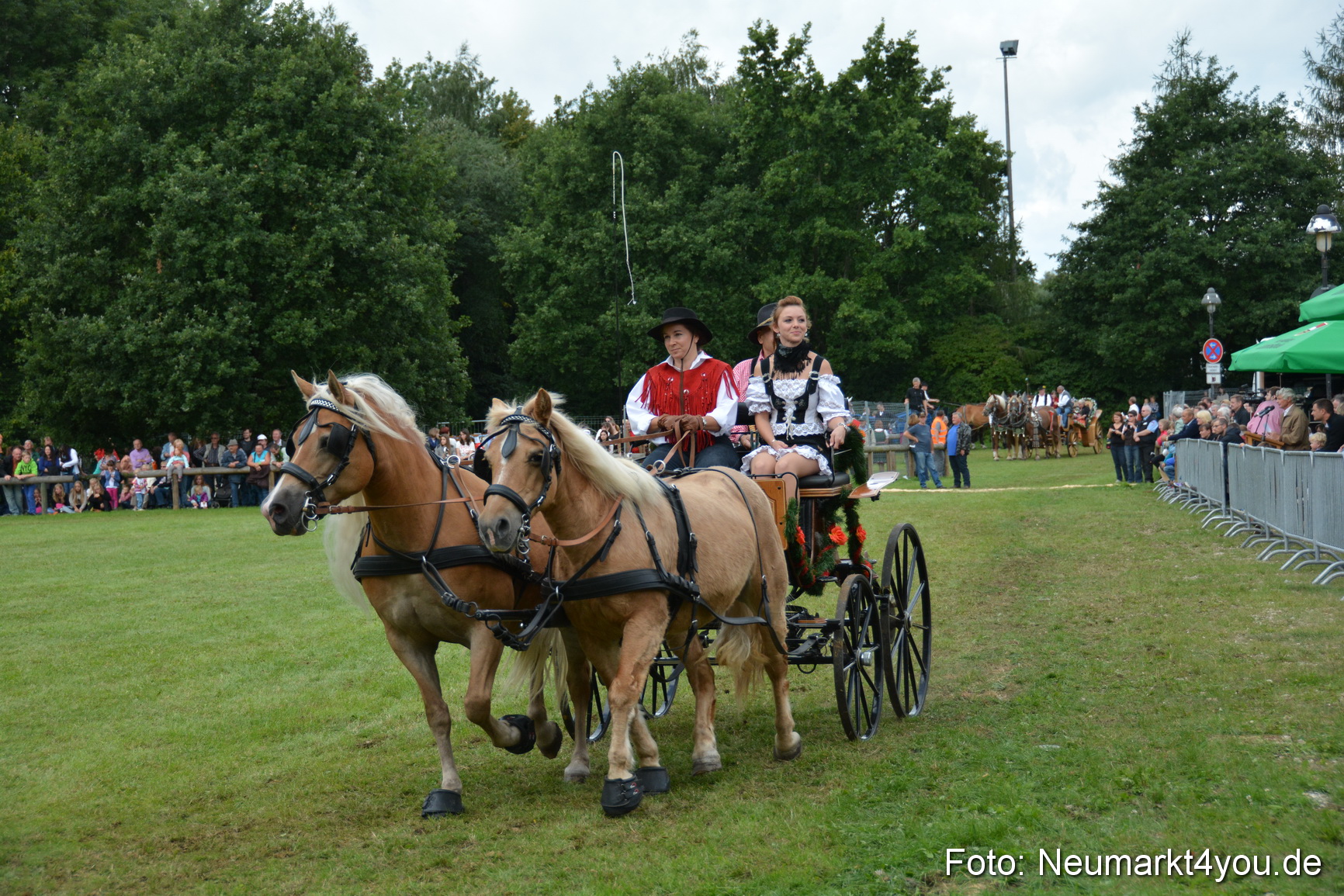 Pferdeschau JURA Volksfest 180814 0379