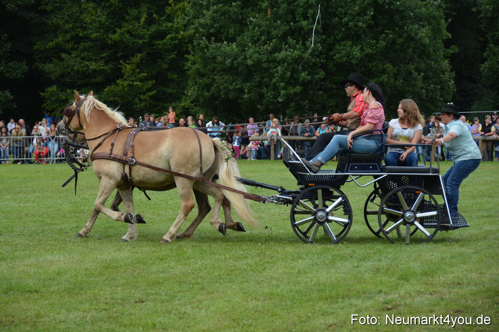 Pferdeschau JURA Volksfest 180814 0381