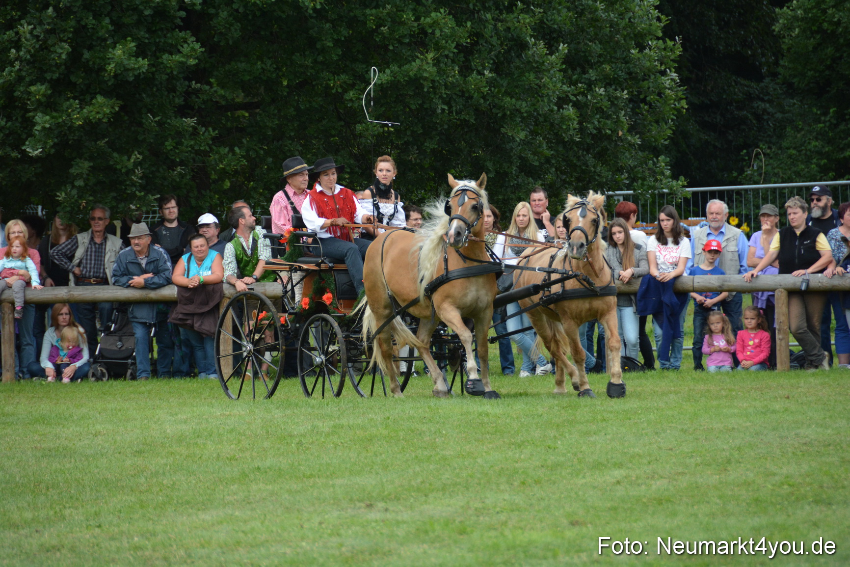 Pferdeschau JURA Volksfest 180814 0382