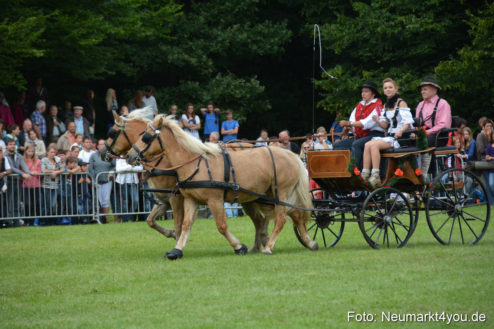 Pferdeschau JURA Volksfest 180814 0383