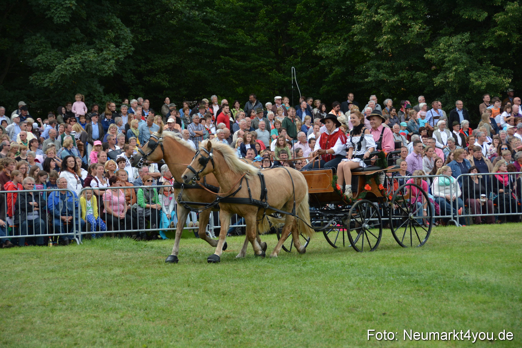 Pferdeschau JURA Volksfest 180814 0384