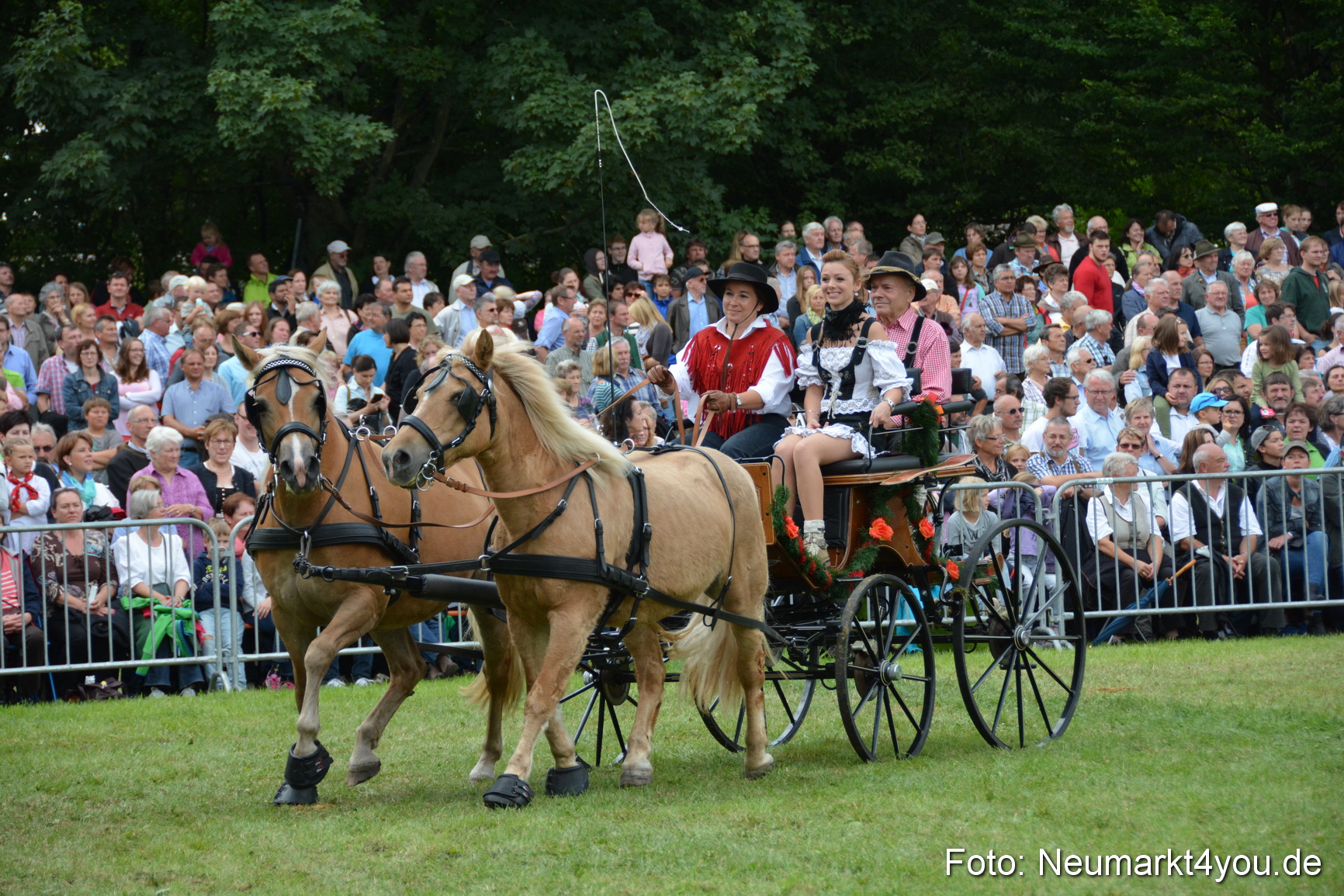 Pferdeschau JURA Volksfest 180814 0385