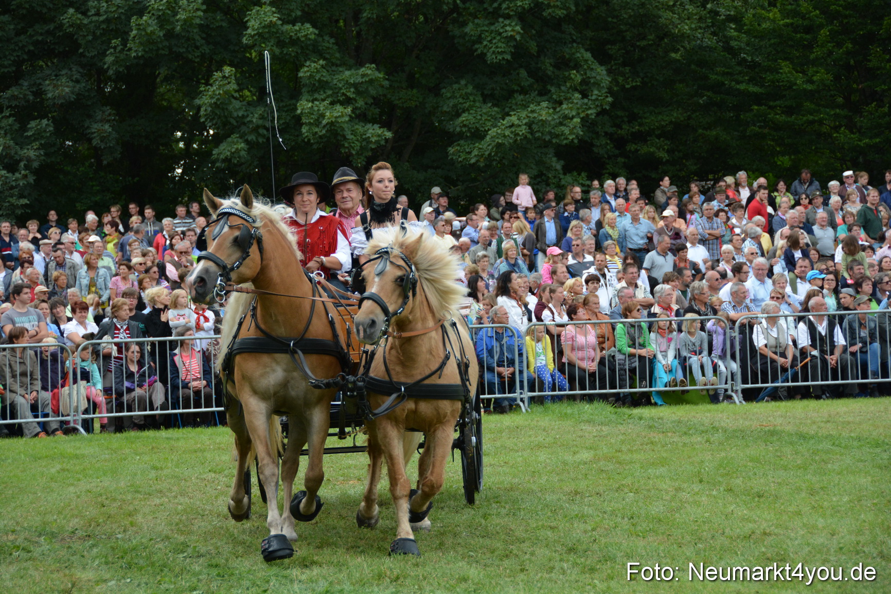 Pferdeschau JURA Volksfest 180814 0386
