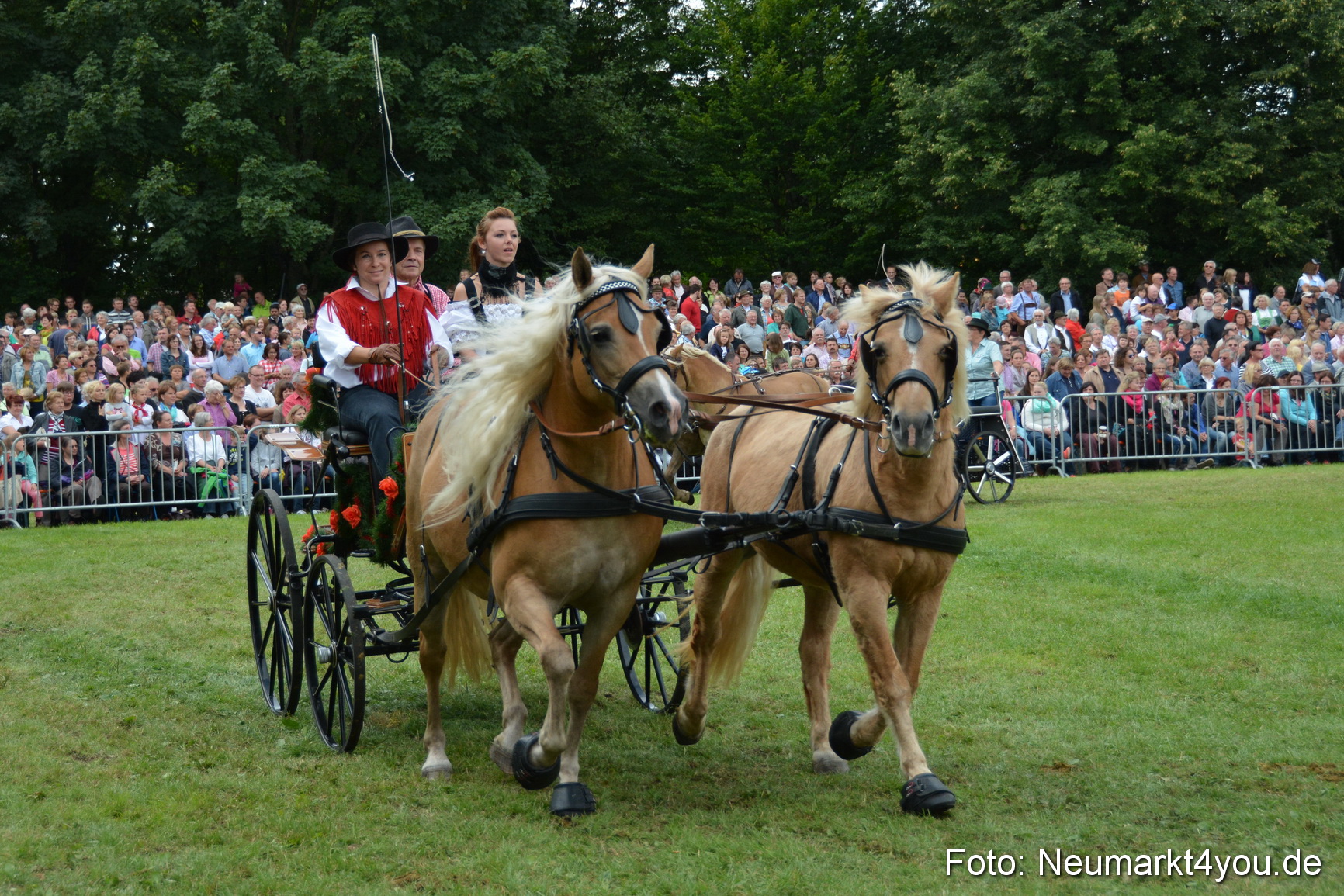 Pferdeschau JURA Volksfest 180814 0387