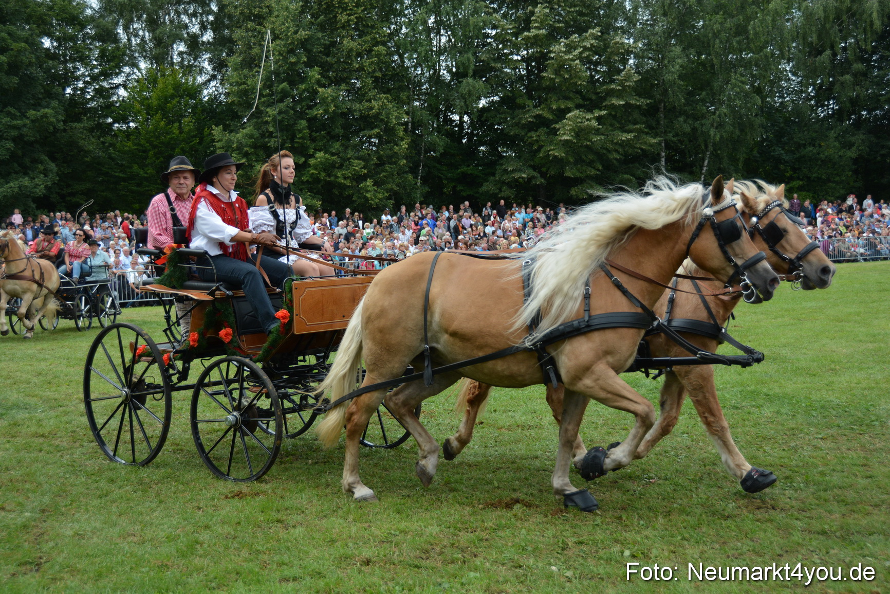 Pferdeschau JURA Volksfest 180814 0388