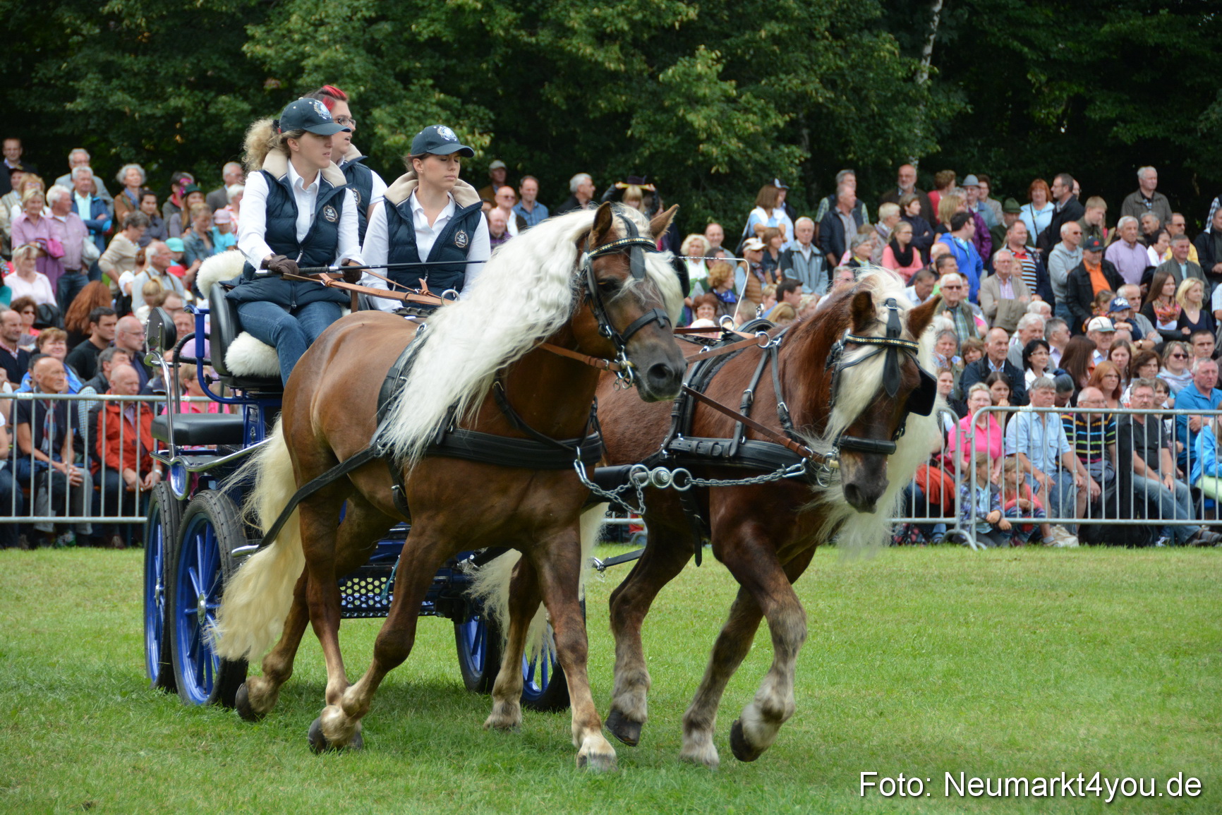 Pferdeschau JURA Volksfest 180814 0389