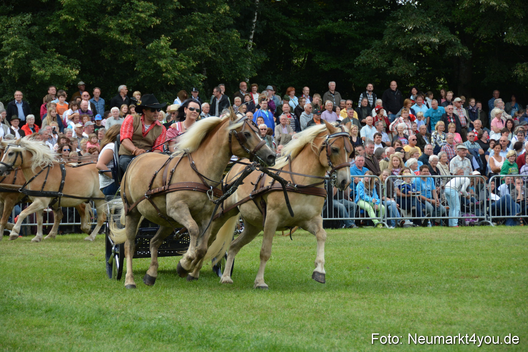 Pferdeschau JURA Volksfest 180814 0390