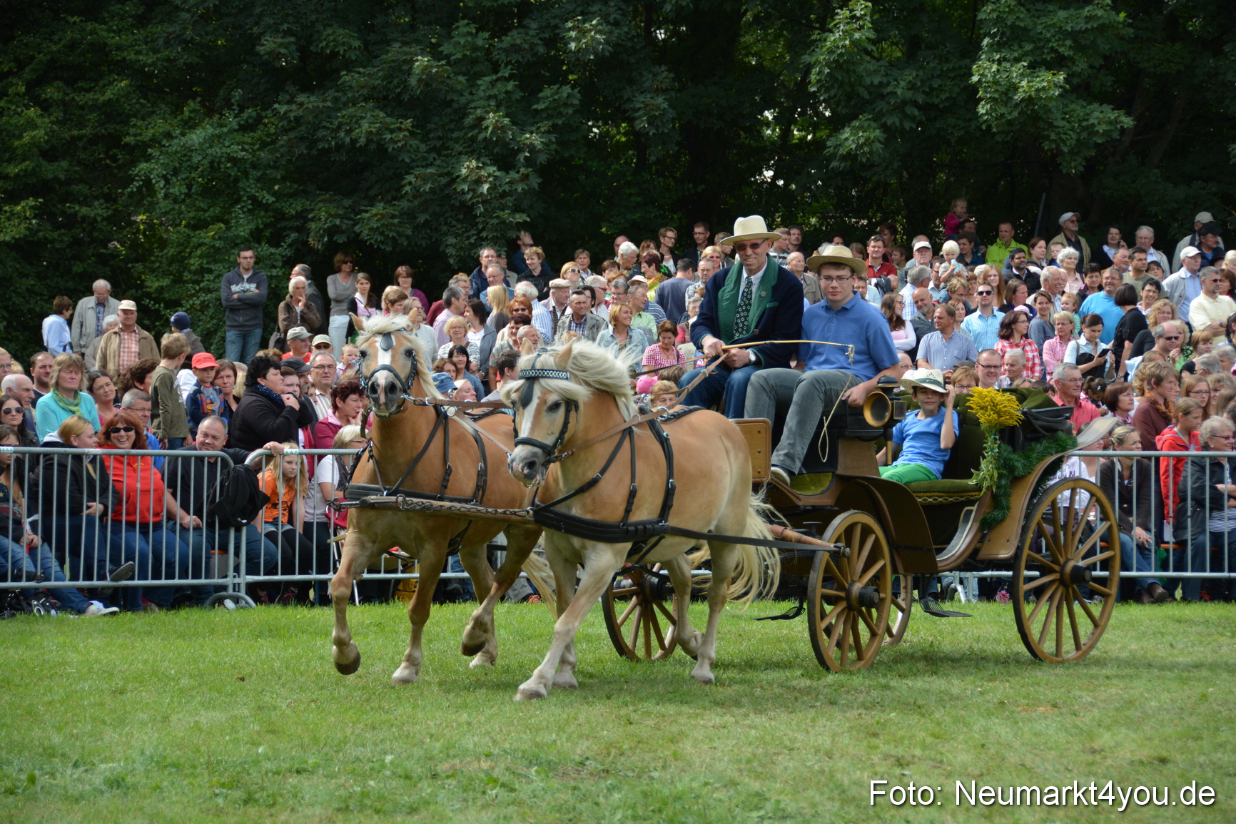 Pferdeschau JURA Volksfest 180814 0391