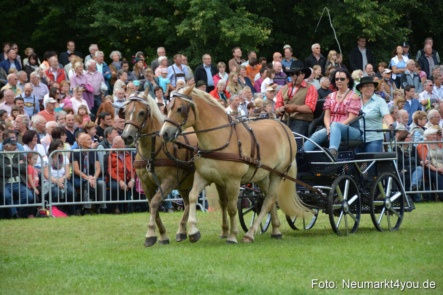 Pferdeschau JURA Volksfest 180814 0392