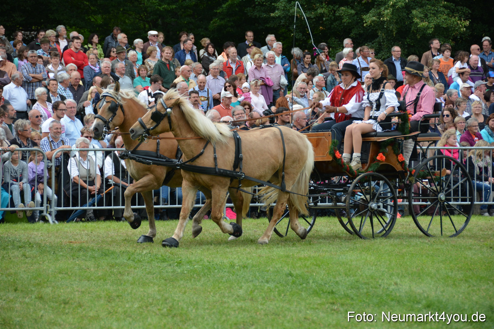 Pferdeschau JURA Volksfest 180814 0393