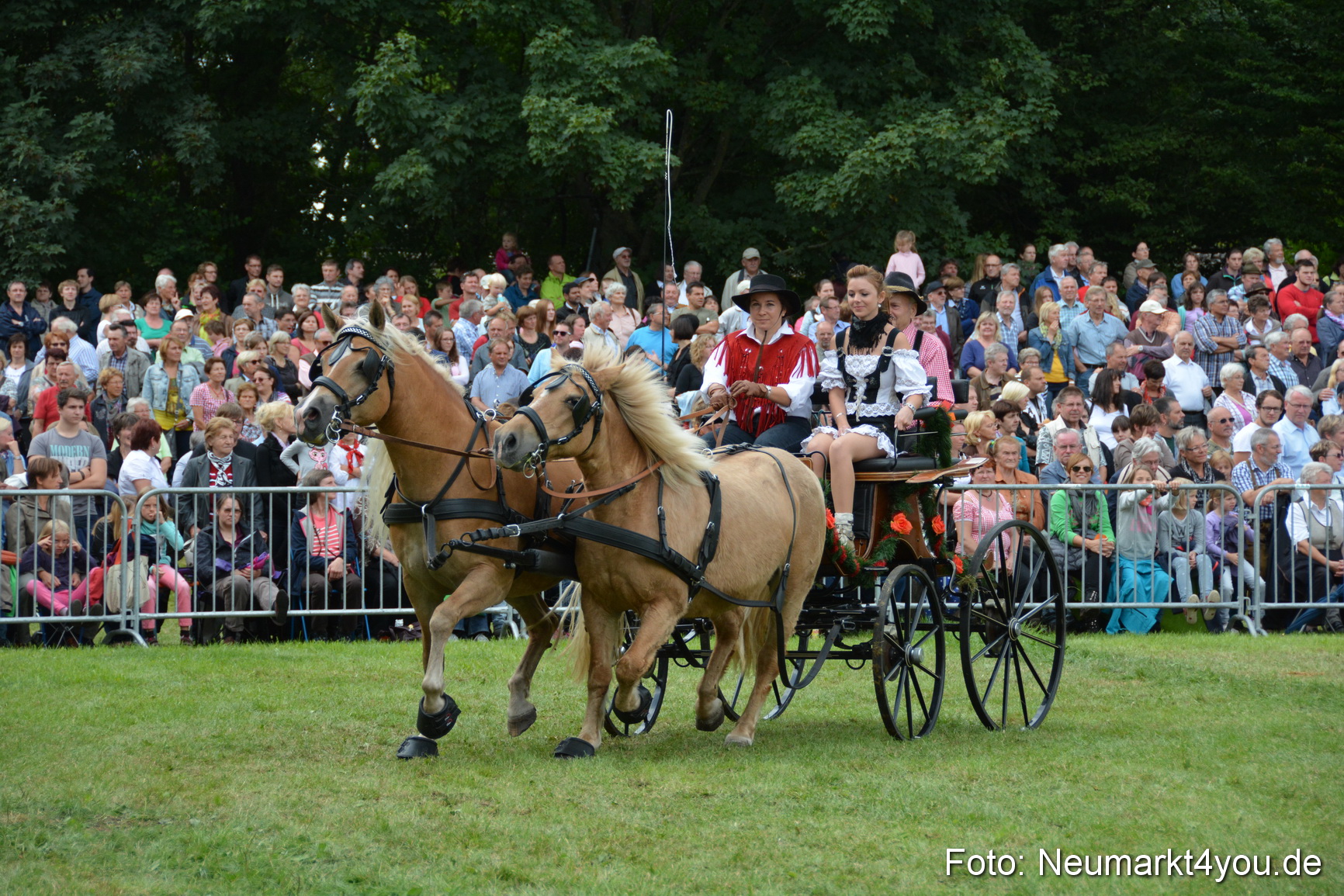 Pferdeschau JURA Volksfest 180814 0394