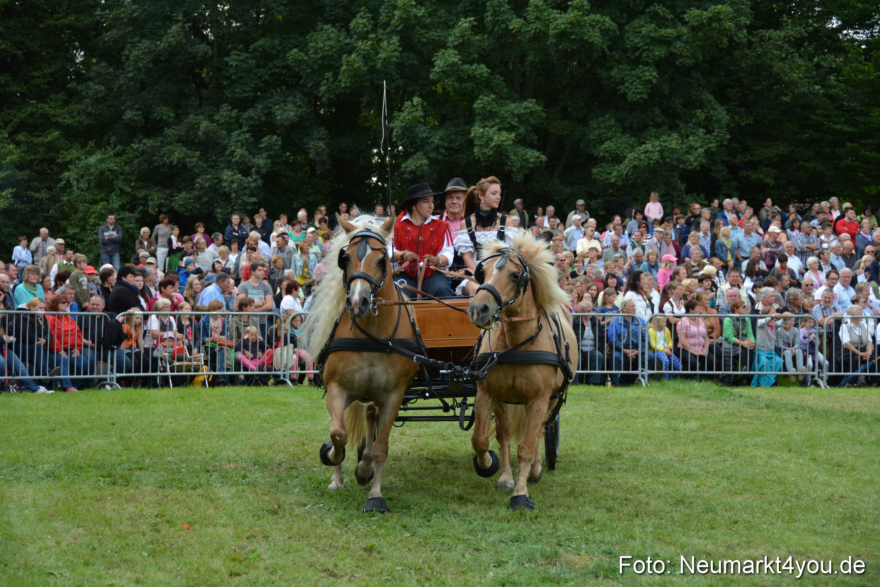 Pferdeschau JURA Volksfest 180814 0395