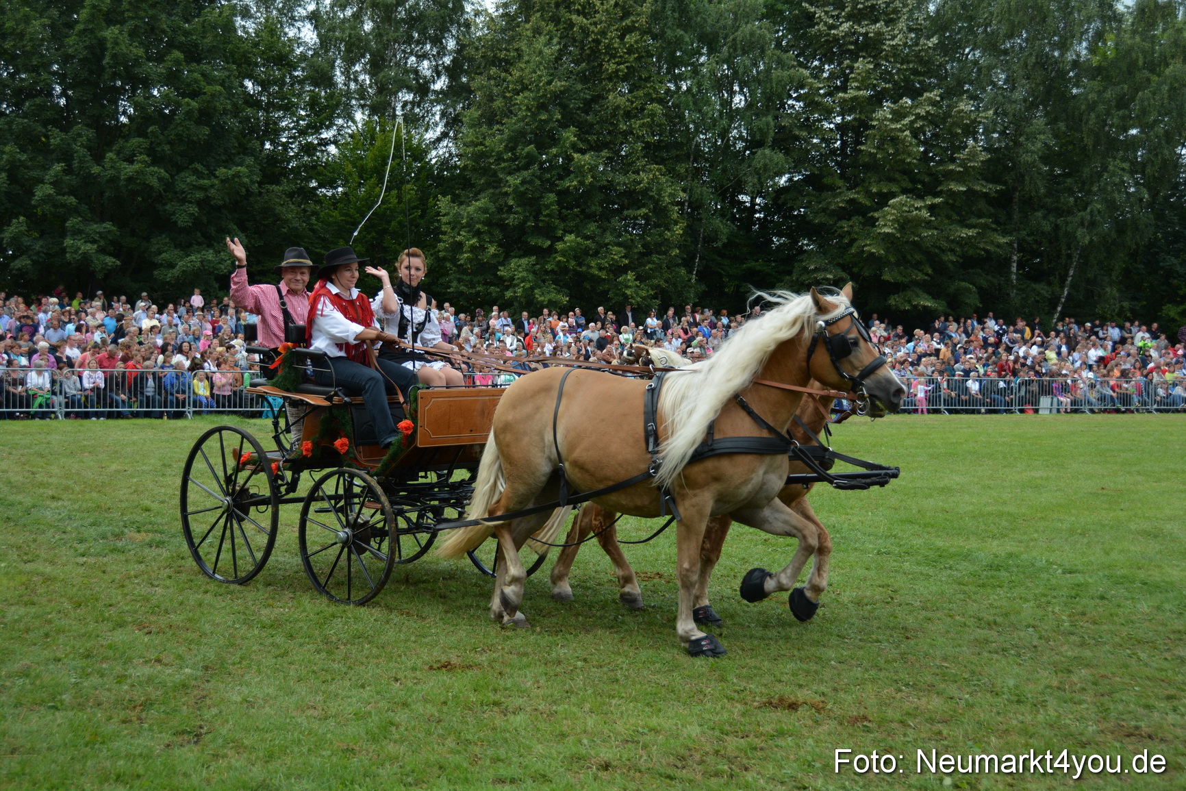 Pferdeschau JURA Volksfest 180814 0396