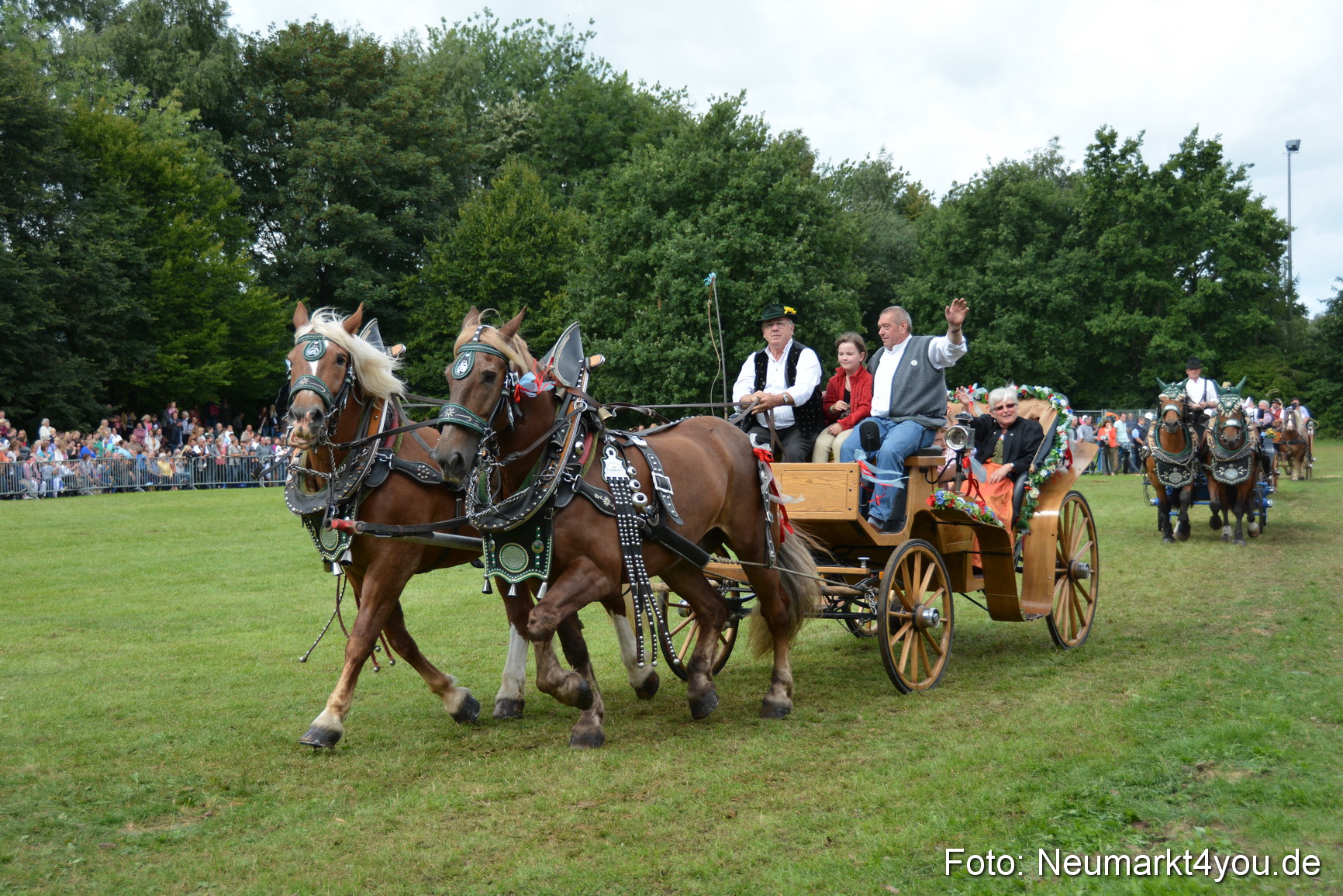 Pferdeschau JURA Volksfest 180814 0399