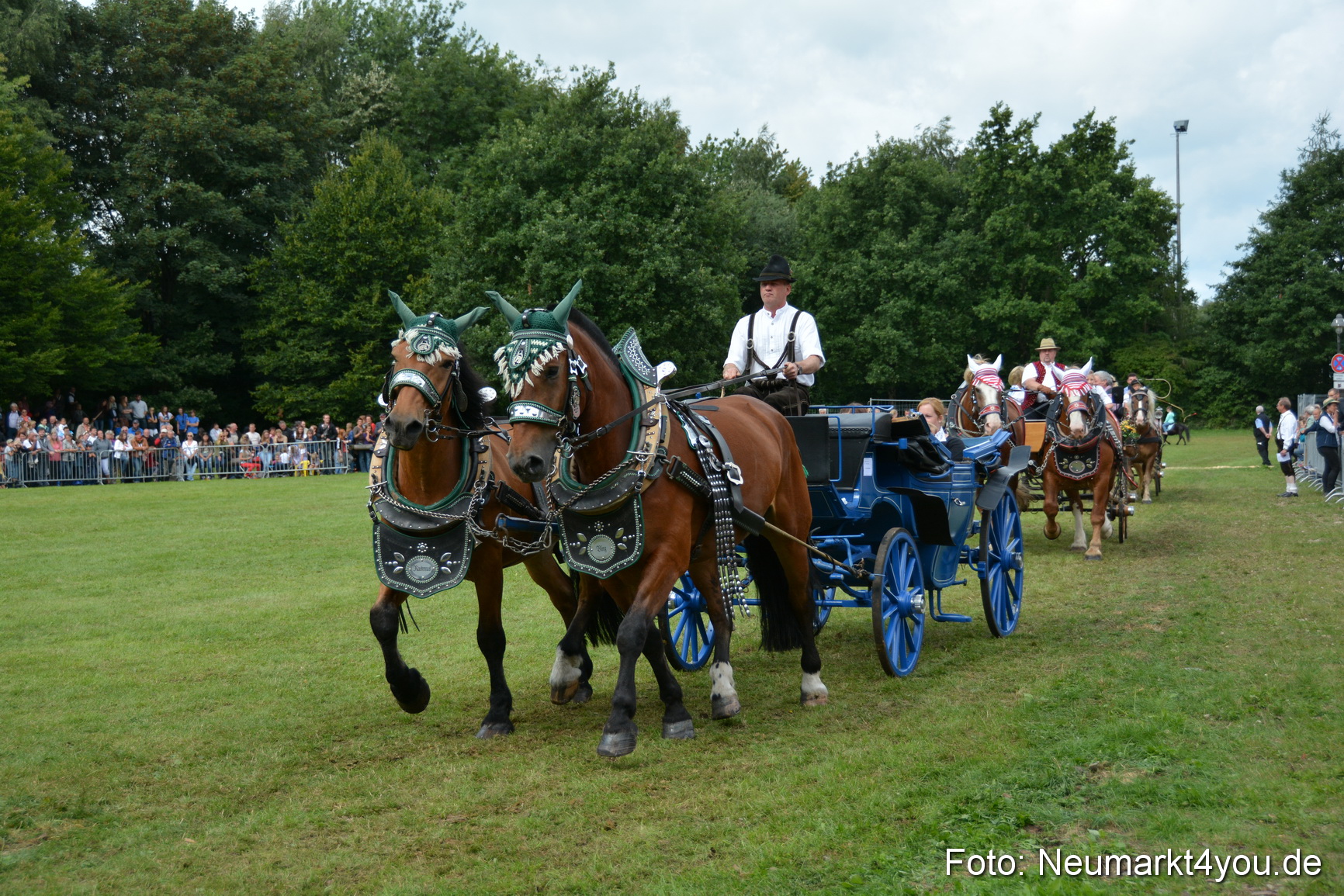Pferdeschau JURA Volksfest 180814 0401