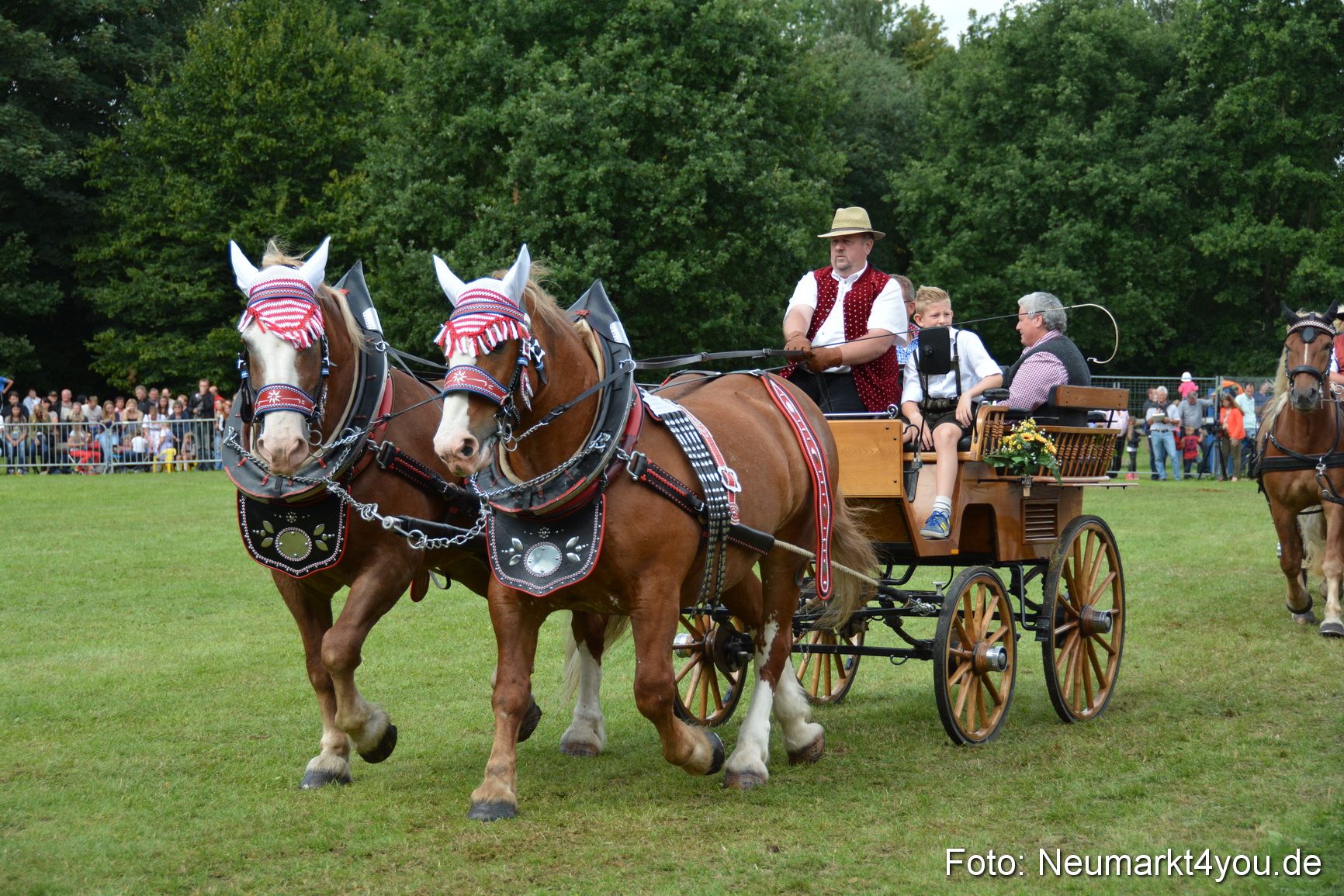 Pferdeschau JURA Volksfest 180814 0403