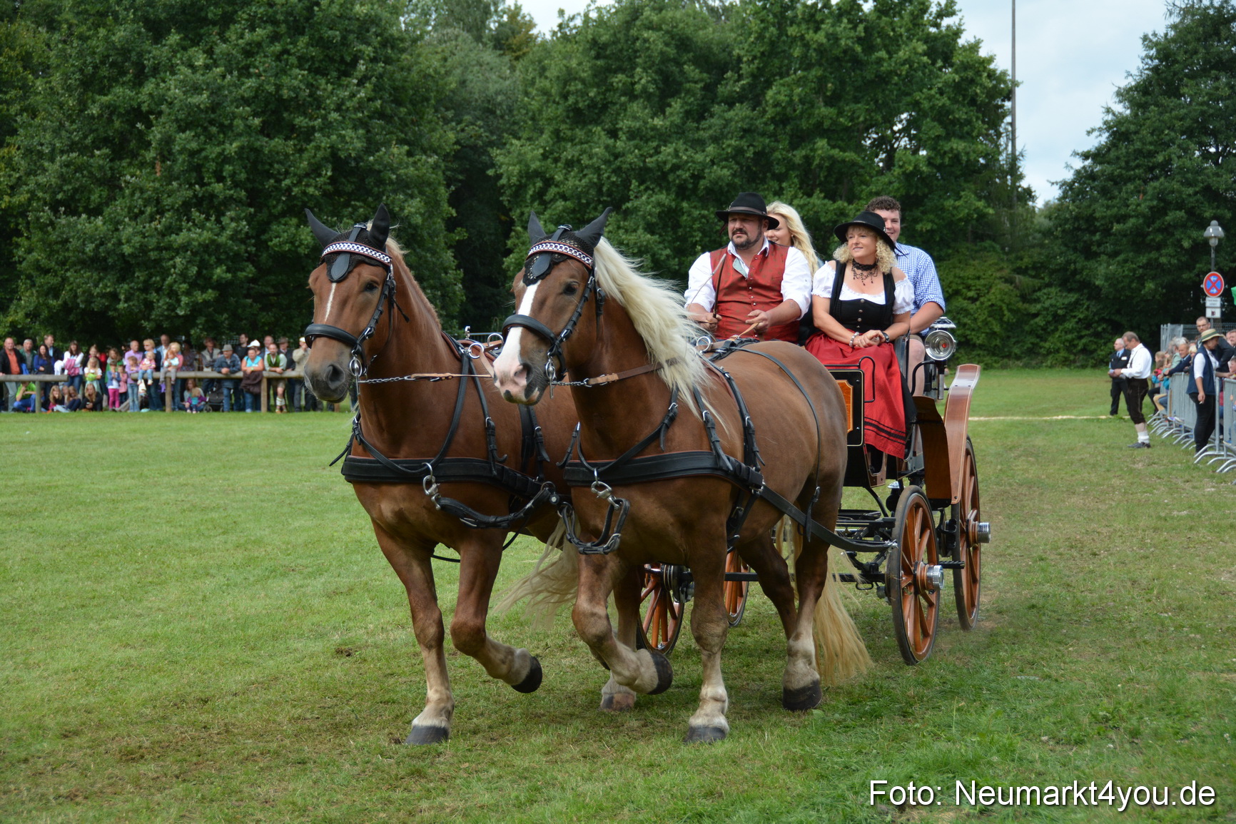 Pferdeschau JURA Volksfest 180814 0405